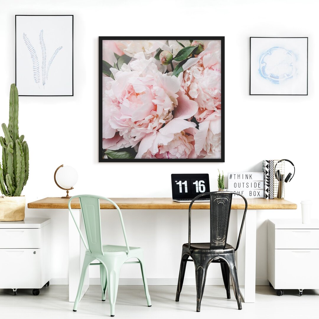 Gerahmtes Poster Peonies Light Pink