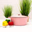 Cocotte ovale en fonte Branyan-30592411-30592412