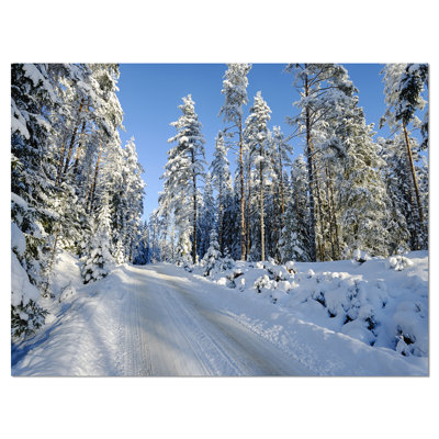 " Snowy Blue Winter "