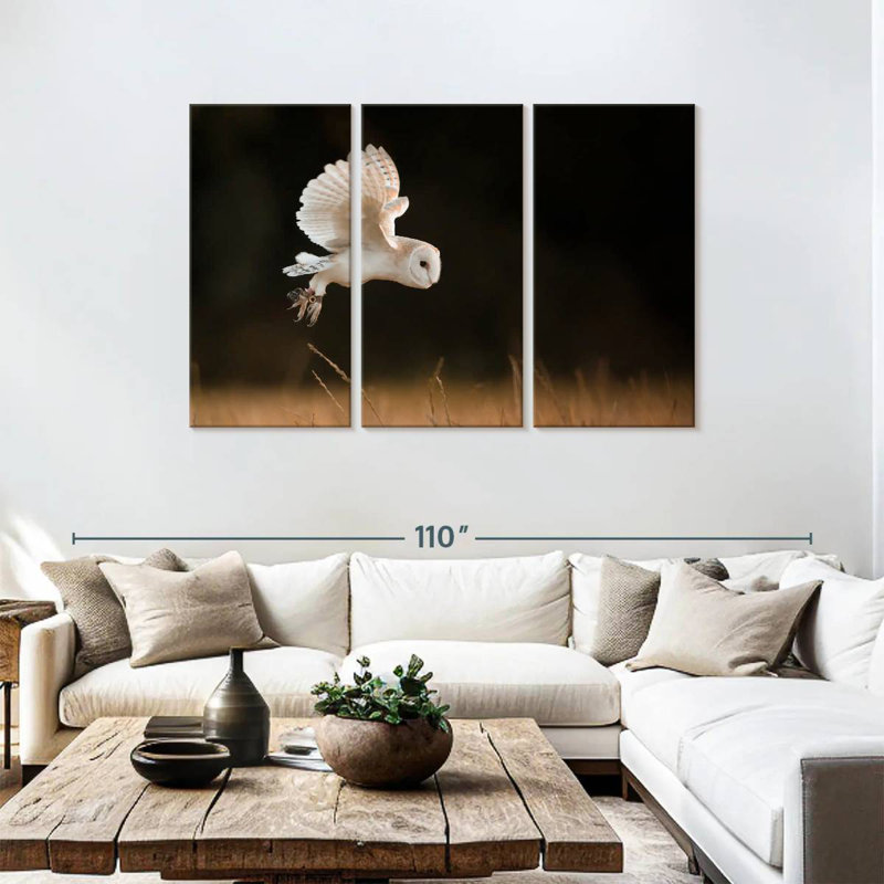 Brampt Barn Owl Beauty, 48" H x 74" W