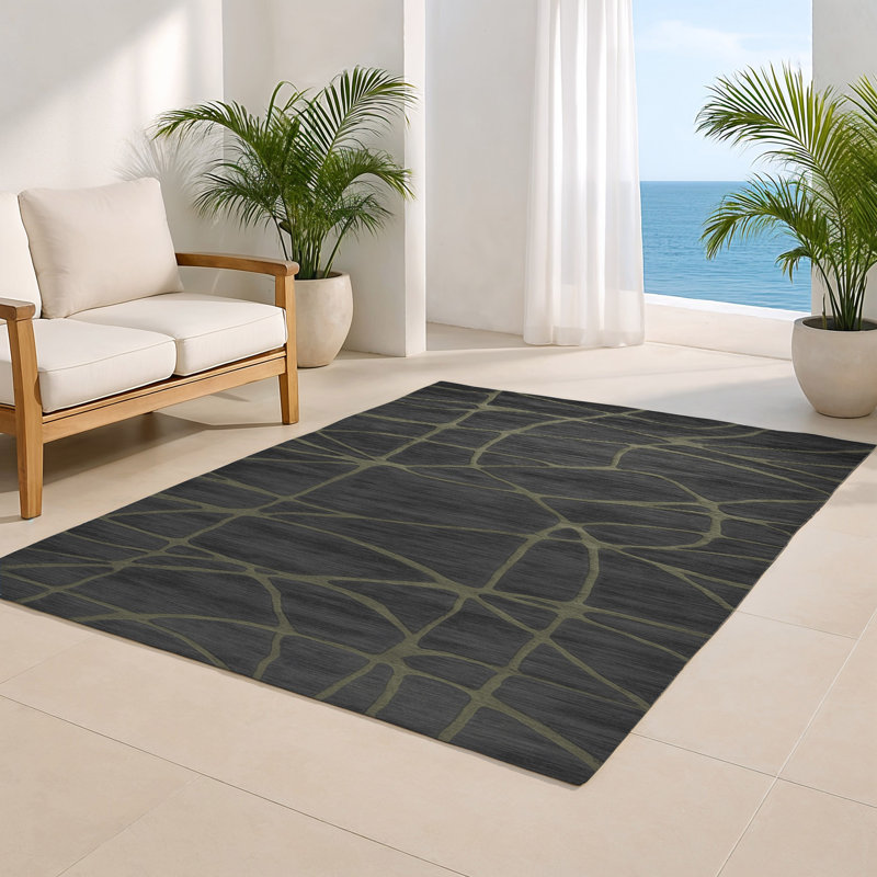 Tapis gris abstrait intérieur et extérieur, Rectangle 4pi x 6 pi