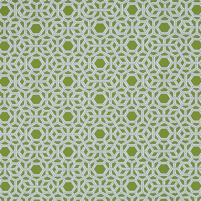 Thomas Paul Indoor / Outdoor Wovens Pavilion Geometric Fabric