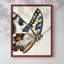 ANIMALS Series CECLI - Impression encadrée de qualité supérieure - Prêt à être accroché - Aucun clou requis-1283901925-1283901926