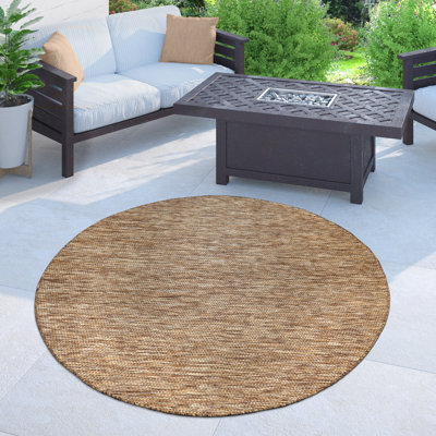 Iyana Indoor/Outdoor Flatweave Area Rug 