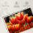 Harnek Darwin Hybrid Tulips-107687951