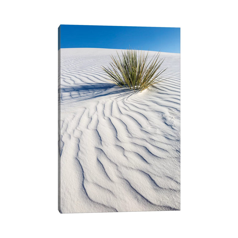 White Sands Dune by Melanie Viola - Wrapped Canvas Print, 66.04 cm H x 45.72 cm W x 3.175 cm D