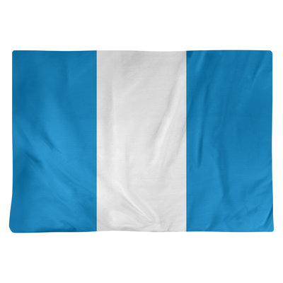 Récapitulatif 18" à rayures de football Carolina