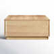 Mille Storage Coffee Table