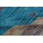One-of-a-Kind 7'11" X 9'7" Area Rug