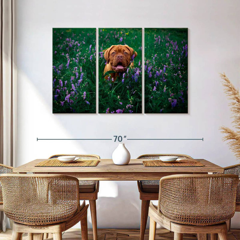 Dogue français Brampt, H 36 po x l 57 po