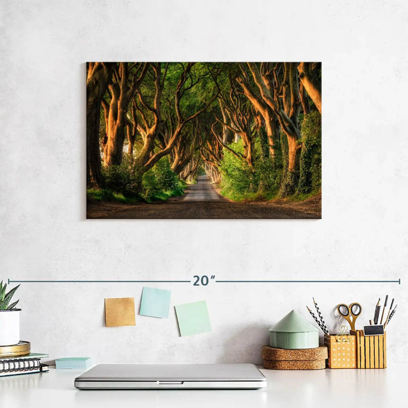 Lilie The Dark Hedges Forest Ballymoney, 8" H x 12" W