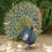 Animals Weather Resistant Metal Garden Statue
