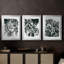 Encre Jungle I - Toile tendue avec châssis encadré - 3 pièces-1771687595-1771687598