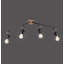 Cookson Spotlight