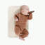 Gathre Changing Mat-961662670