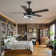 Eustolio 52'' DIY Shade Reversible Caged Ceiling Fan with Dimmable LED Light and Remote