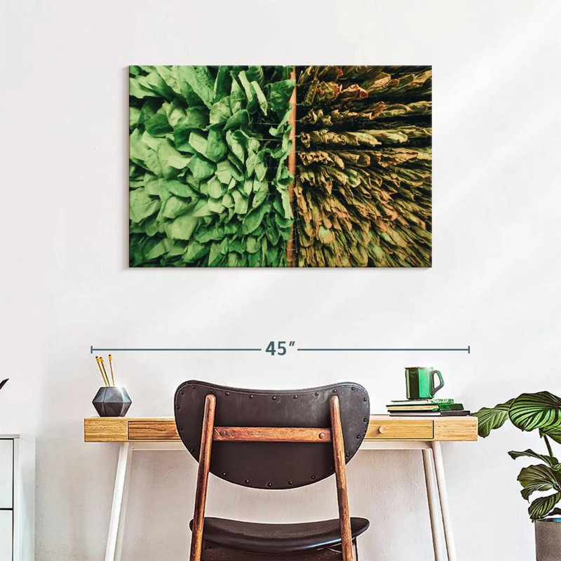 Harnek Tobacco Leaves, 24" H x 36" W