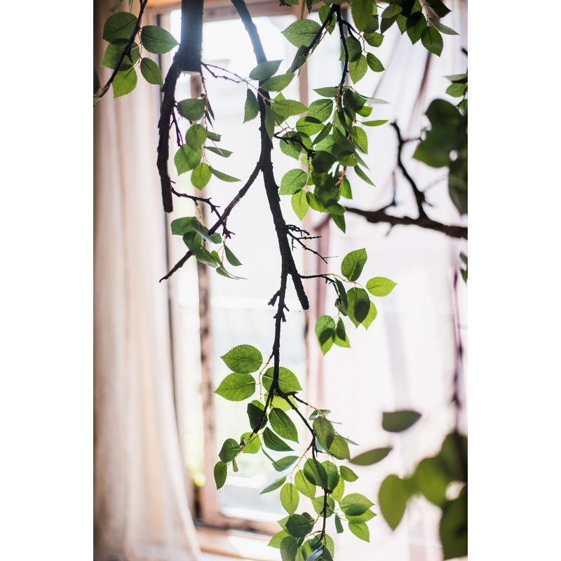 Branche de tige de camellia à feuille, H 39 po x l 3 po x P 2 po