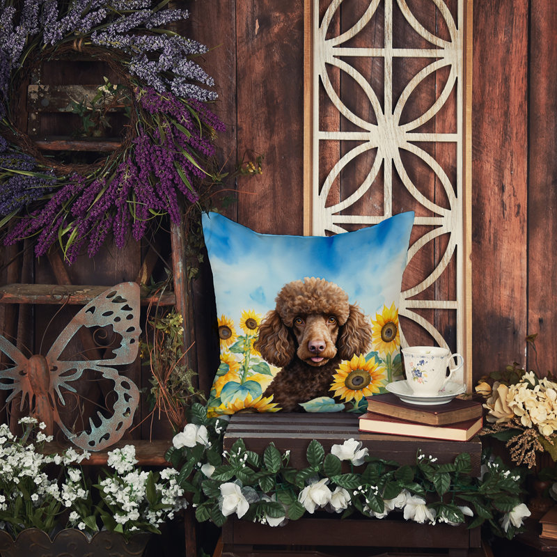 Other/No Pattern Outdoor Throw Pillow, 14"H x 14"W