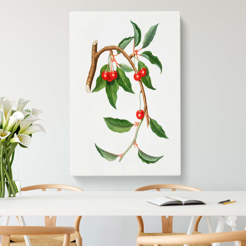 Sour Cherries by Giorgio Gallesio - Wrapped Canvas, 50cm H x 35cm W x 3cm D