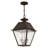 Fraida Bulb Outdoor Hanging Lantern-22670233
