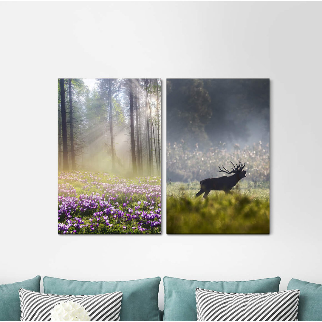 2-tlg. Leinwandbilder-Set - Fotografie „Forest Moose Forest Flowers Morning Dew Nature Sunbeams Spring”