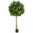 Ficus Artificial Tree-29433619