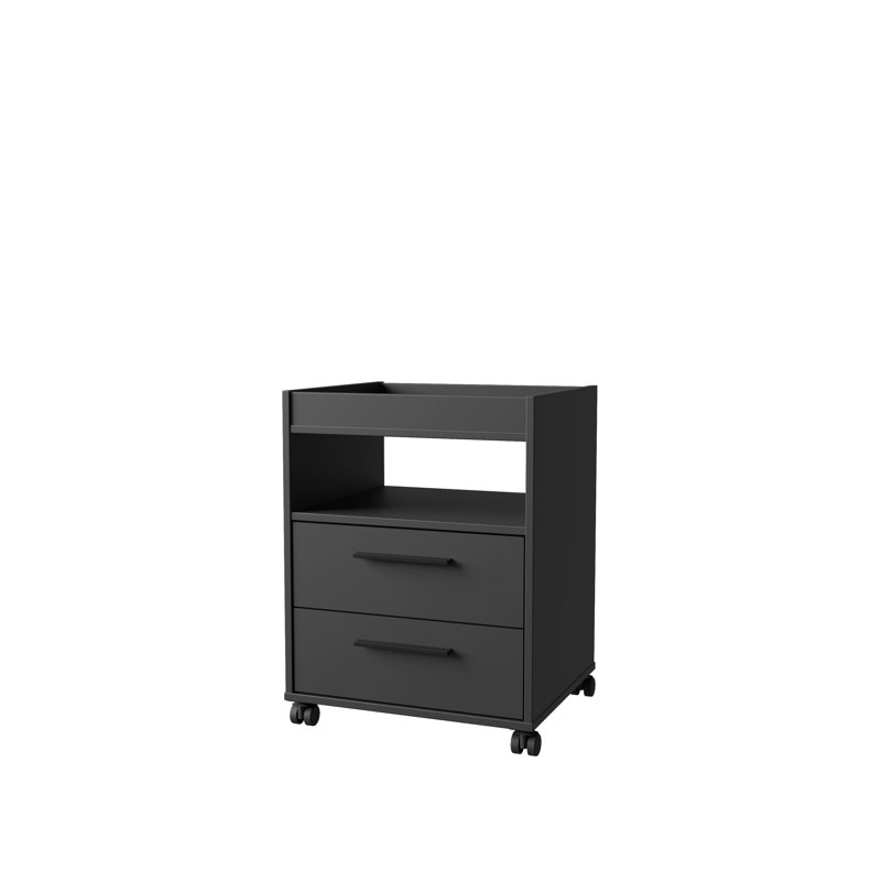Bottorff 48cm Wide 2 -Drawer File Cabinet