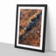 Forest in Piedimonte Matese Italy - Framed Print-55577792-55577793