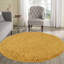 Esterly Gold Shaggy Rug-37988352
