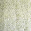 Panneau mural Hydrangea-621124802-589405635