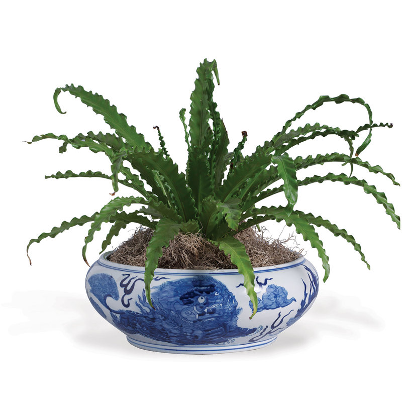 Ceramic Planter