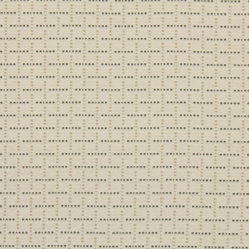 Color Dots Fabric