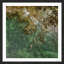 Single Picture Frame Print-18320456