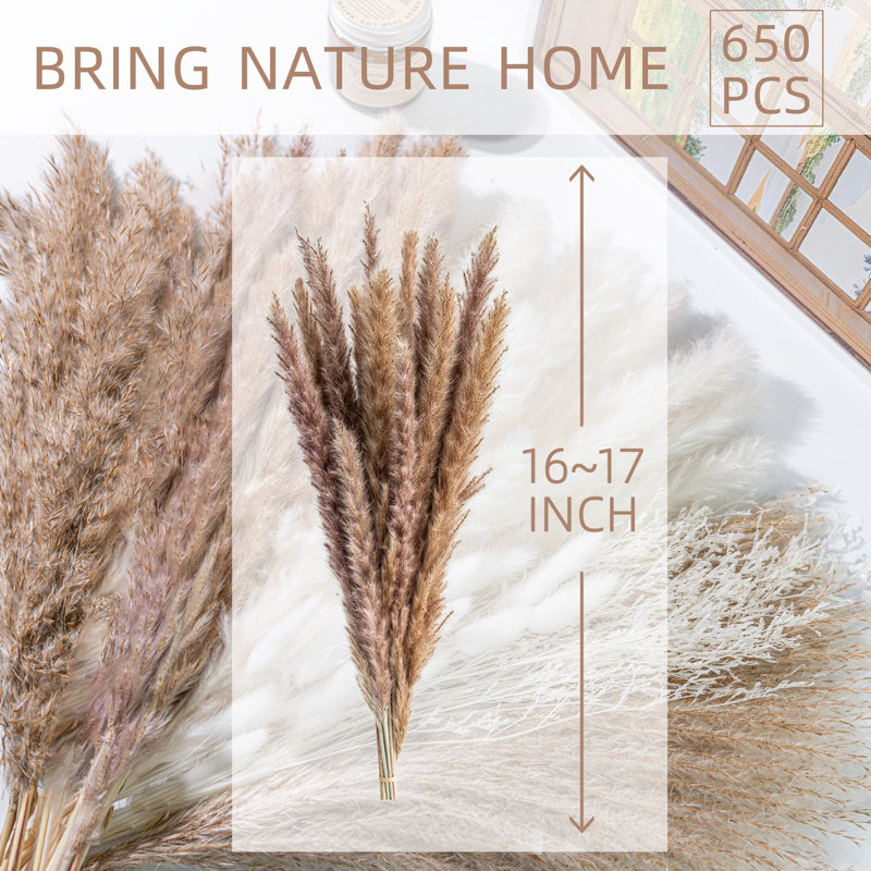 650 bouquets d'herbes de pampas séchées naturelles - Boho Home Decor phrases de fleurs séchées | Arrangement floral de mariage