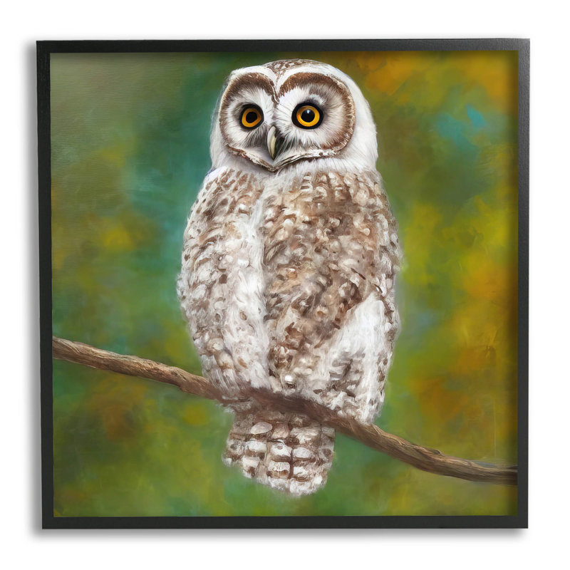«Owl», art giclée détaillé par Alpenglow, Giclée encadrée noir minuit, H 12 po x l 12 po x P 1,5 po