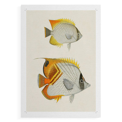 Poisson jaune et gris I - Impression sur toile seulement - NON-CADRE