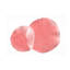 Œuvre bolognaise, rose minimale-105648933