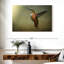 Colibri roux Brampt femelle-108822365