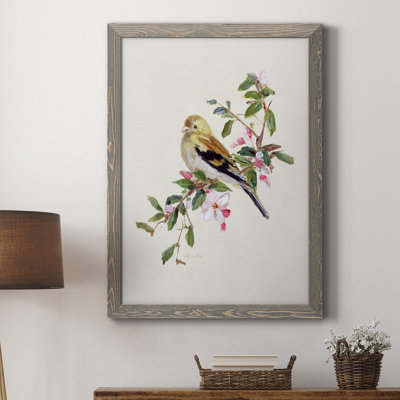 " Spring Song Pine Grosbeak "