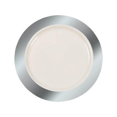 Disposable Dinner Plate