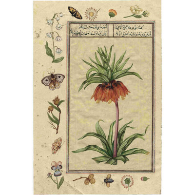 India Nature Study I