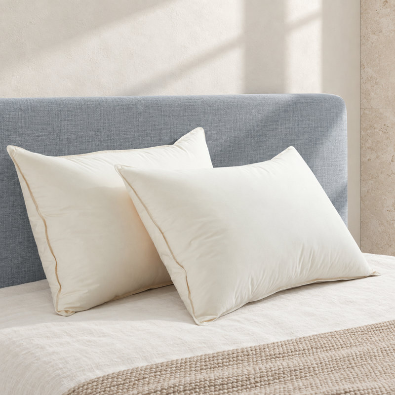 Down Blend Support Pillow, 20" x 30"