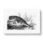 Hunted Sperm Whale by John Karst - Wrapped Canvas-55304324