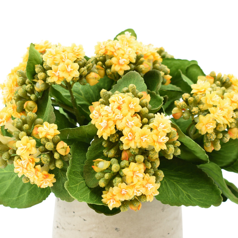 Kalanchoe Arrangement in Fiberstone Pot, Yellow
