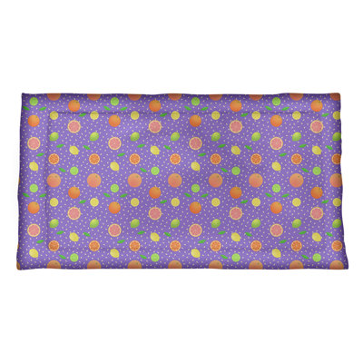 Katelyn Elizabeth Polyester Sham Set