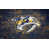 Nashville Predators