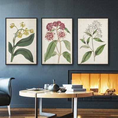 " Antique Botanical Collection VI " 3 - Pieces