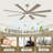 Large 8 Blade Ceiling Fan With Led Light And Smart Features-1698375358-1696627122-1698375347
