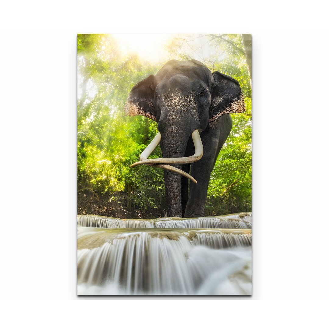 Leinwandbild Elefant an den Erawan Wasserfällen in Thailand